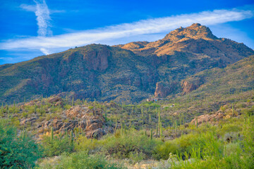 Mountain with saguaro cacti and two buildings against the mountain range in Tucson, Arizona