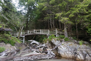 Tofino