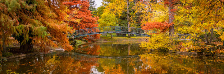 Colored trees and footbridge of the Jardin Public park in Autumn in Bordeaux, France