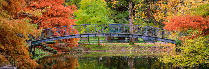 Obraz premium Colored trees and footbridge of the Jardin Public park in Autumn in Bordeaux, France