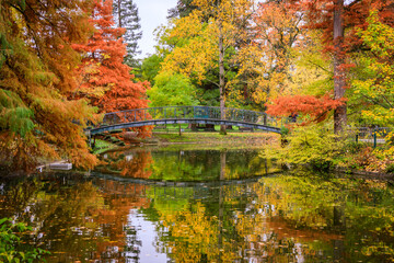 Colored trees and footbridge of the Jardin Public park in Autumn in Bordeaux, France