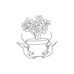 Houseplant vector illustration drawn in line art style