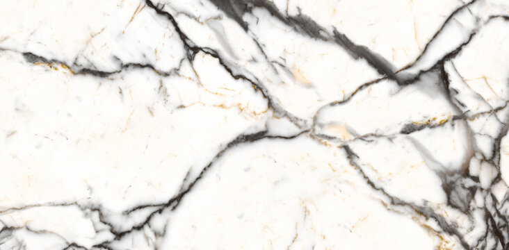 White Crystal satvario marble texture background with black-gold curly vines. carrara glossy marble texture and thassos satvario quartzite. decorative sandstone white flooring for ceramic wall tile.