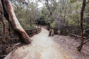 Freycinet Peninsula Circuit in Tasmania Australia