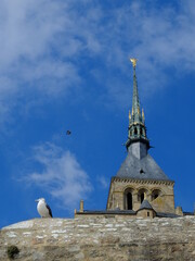 Fototapeta na wymiar Mont-Saint-Michel (Manche)