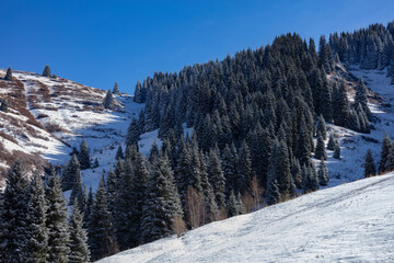 snow covered mountains