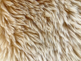 wool rug for texture background