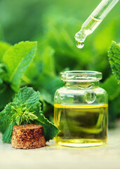 Peppermint essential oil in a small bottle. Selective focus.