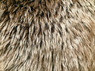 wool rug for texture background