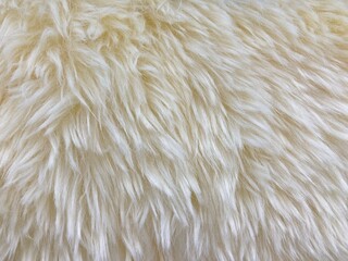 wool rug for texture background