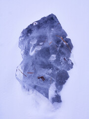 Frozen lake. Ice. Leafs trapped in ice