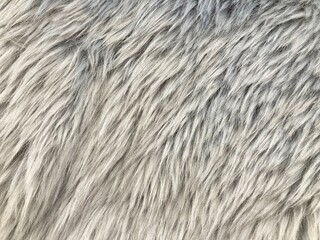 wool rug for texture background