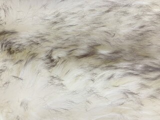 wool rug for texture background