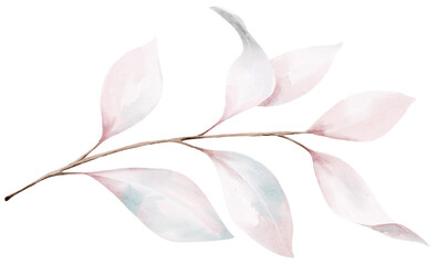 Fototapeta premium Watercolor fall leaves. Autumn branch.