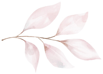 Fototapeta premium Watercolor fall leaves. Autumn branch.