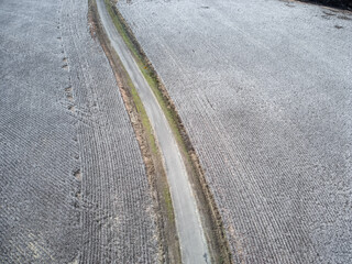 Dirt road curves through cotton field. Drone view.