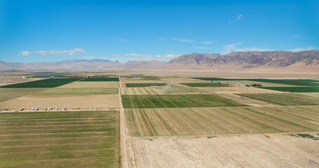 Aerial view of Farmland in the Northern Nevada desert.
