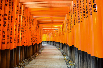 torii gates