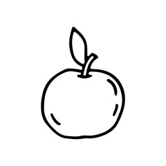 Apple fresh, ripe with a leaf. Food product. Healthy food. Fruit. Doodle. Hand drawn. Vector illustration. Outline.
