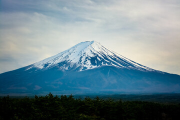 fuji mountain