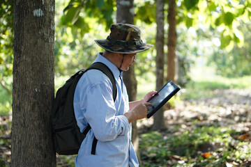 Asian man is surveying forest, wears hat, blue shirt, backpack and holds smart tablet. Concept : using smart device technology to manage environment and research tree          