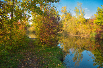 Herbst in den Rheinauen im Elsass