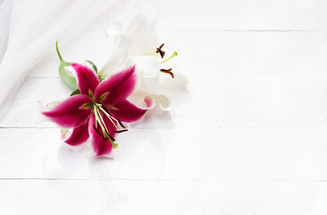 White and pink lilies on white wooden background