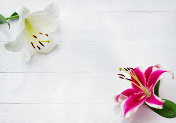 White and pink lilies on white wooden background