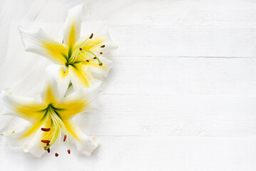 White and yellow lilies on white wooden background