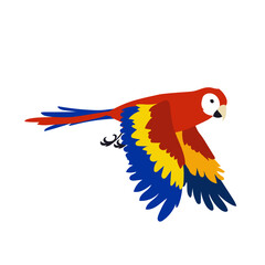 Red tropical parrot flapping wings vector illustration. Bird spreading wings, movements of wings. Red ara flying in sky isolated on white background. Animal, motion concept © SurfupVector
