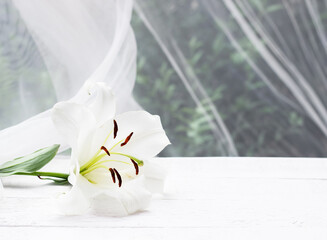 Close-up of white lily on white wooden table with tulle fabric on the background