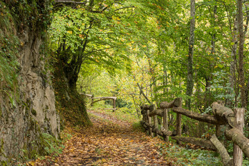 Wooden fence and path. Natural Park of Redes, Asturias 