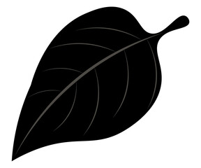 illustration of a leaf