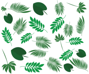 Fototapete Tropische Blätter seamless pattern with green leaves