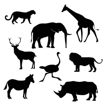 African animals silhouettes set. Giraffe, elephant, leopard, deer, rhinoceros, ostrich, zebra, lion. Vector illustration.