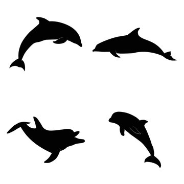 Swimming dolphins silhouette isolated on white background. Sea life symbols. Vector illustration
