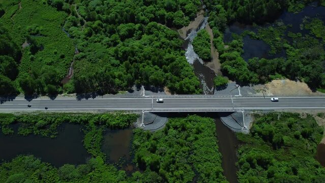4k Top view of cars drive along road in countryside in summer irrl. Aerial pic of transport driving on asphalt freeway surrounded by green forests and outdoor waters. Drone view of beautiful landscape