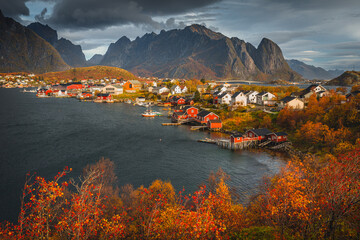 Beautiful and colorful autumn in the Lofoten archipelago in Norway. Breathtaking landscapes show the power of nature.