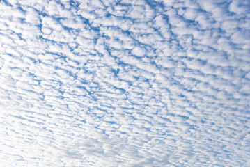 秋のうろこ雲