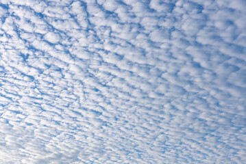 秋のうろこ雲