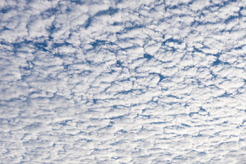 秋のうろこ雲