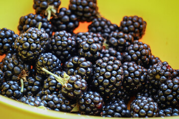 Ripe blackberries in a yellow bowl forming a background