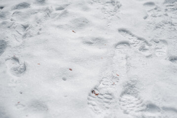 Winter day. Footprints in the fallen snow. Snow.