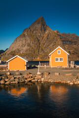 Naklejka premium Beautiful and colorful autumn in the Lofoten archipelago in Norway. Breathtaking landscapes show the power of nature.