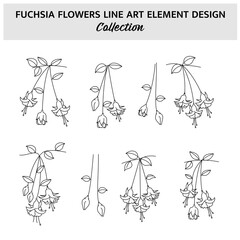 Minimalist Fuchsia Flower Hand Drawn Vector Illustration Set. Flowers Sketch Drawing on White Background.