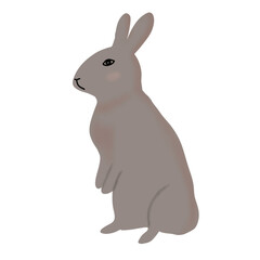 Rabbit in cartoon style for decorative.