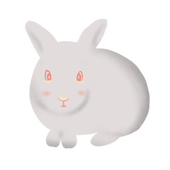 Rabbit in cartoon style for decorative.