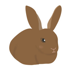 Rabbit in cartoon style for decorative.