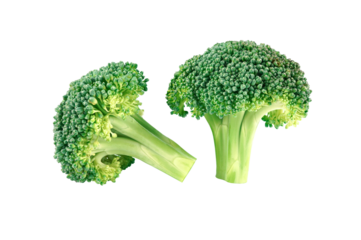 Broccoli isolated on white transparent with PNG background