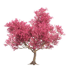 deciduous tree, isolate on a transparent background, 3d illustration